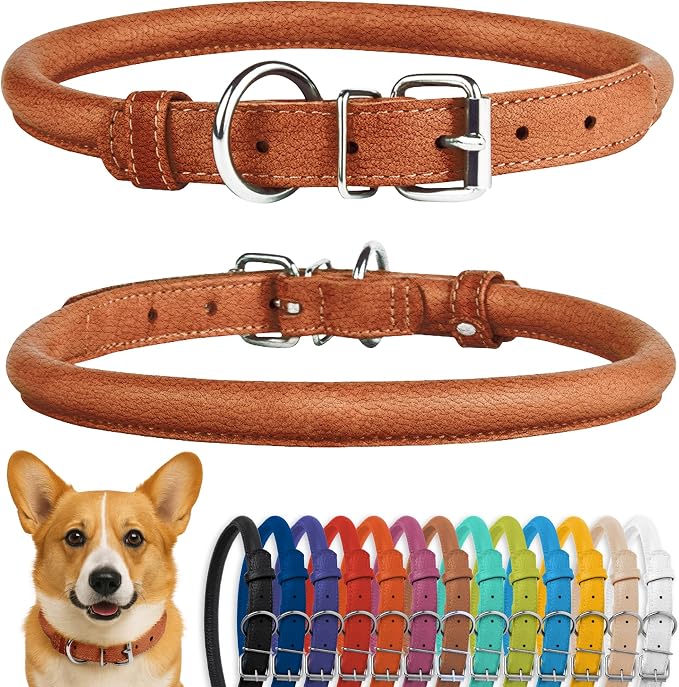 CollarDirect Rolled Leather Dog Collar 11-14 Inch