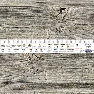 State Freshwater Fish Identification and REGULATIONS 36 INCH Ruler Decals