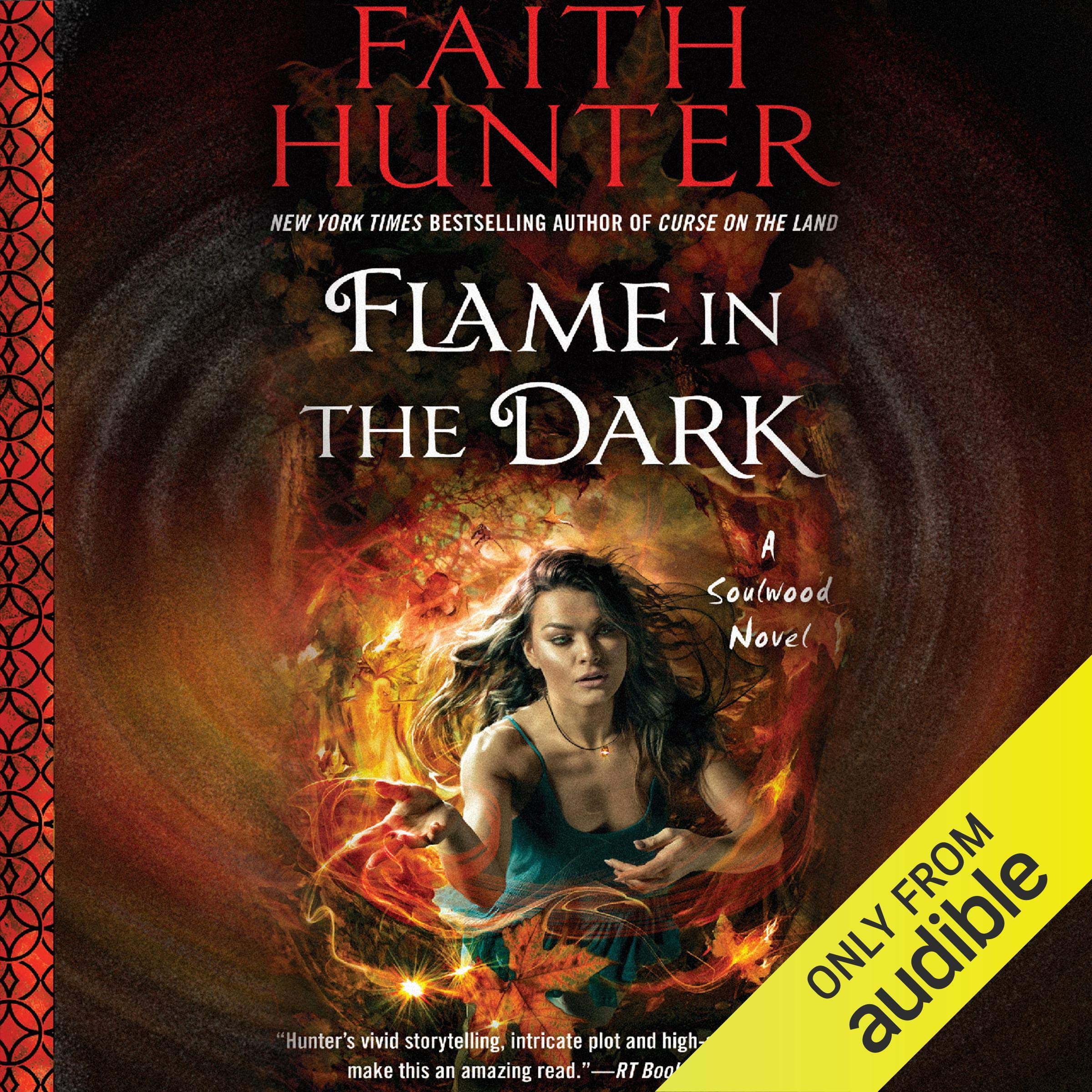 Cover art for Flame in the Dark