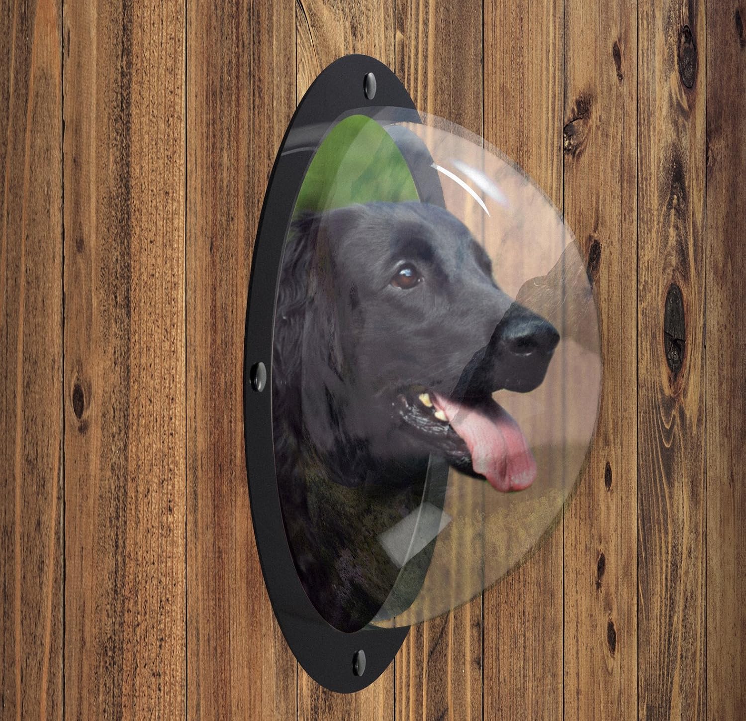 N&M Products Pet Window - Acrylic Dog Window/Peep Hole for Door or Gate