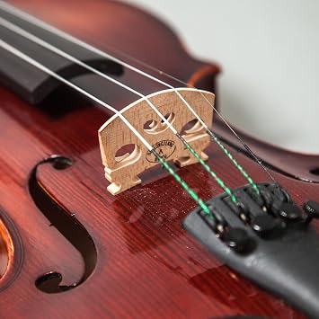 Professional Hand Made Violins 4/4 Full Size Beautiful Flamed Back Ebony Fitting