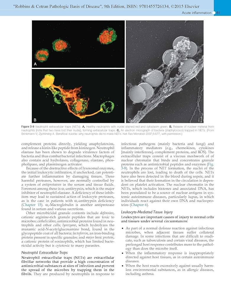 Robbins & Cotran Pathologic Basis of Disease (Robbins