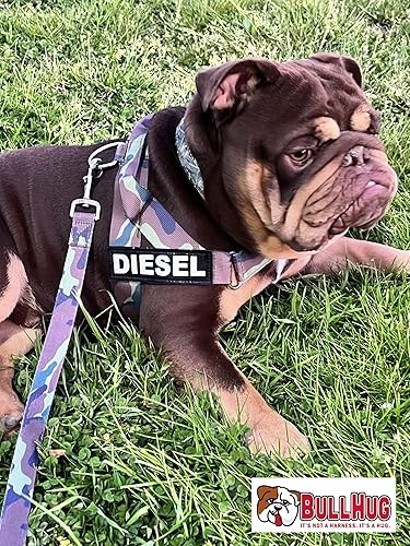 Miniatura 3 de BULLHUG Correa de bulldog de 6 pies con mango acolchado, perfecta para bulldogs franceses, pugs y todas las razas, correa para caminar y entrenar