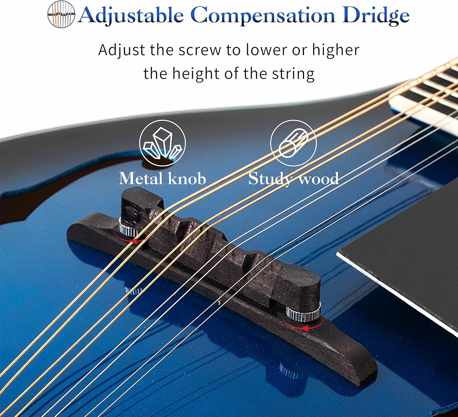 Mulucky A Style Mandolins Instrument, 8 String Acoustic Mandolin with Beginner Kit, Case, Tuner, String, Picks - Blue