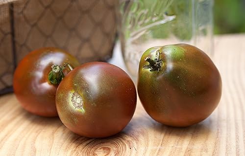 Paquete de semillas prémium de tomate negro etíope + más