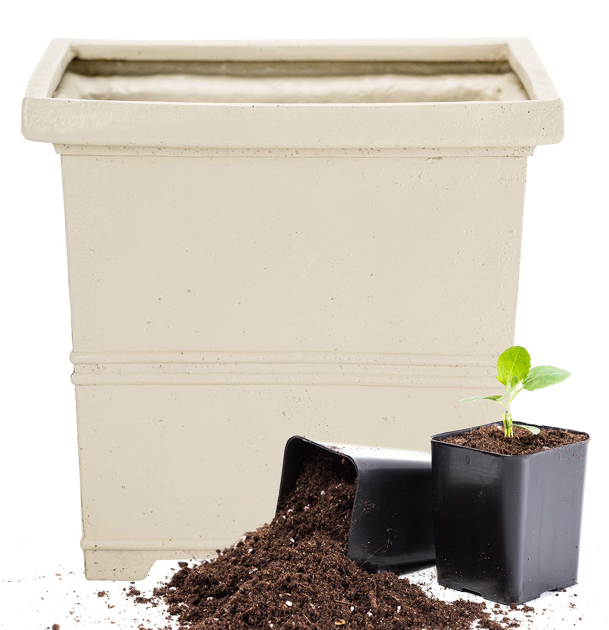 Martha Stewart Garden, Square False Bottom Planter, 12 Inch, Gray