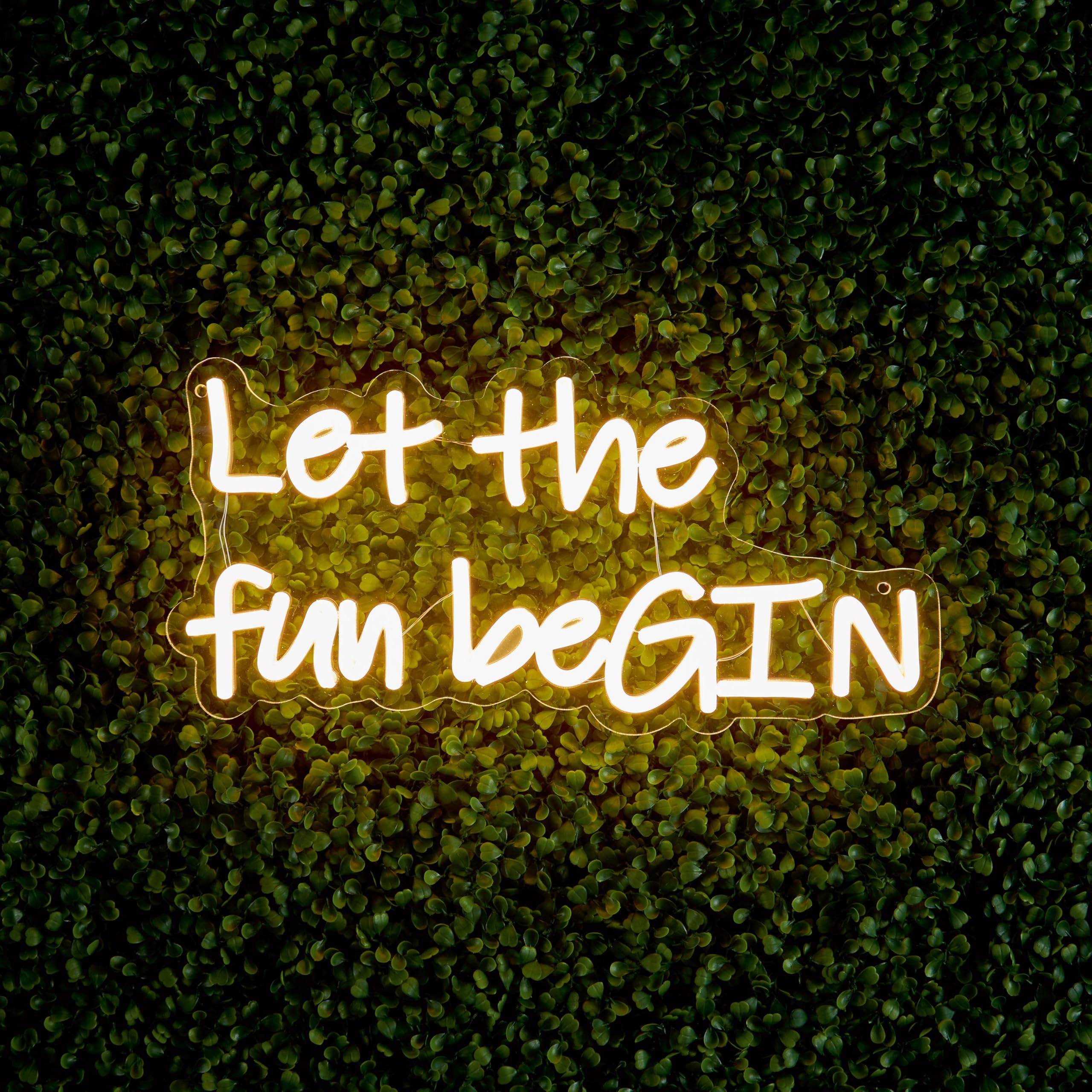 LED Neon Wall Garden Sign - Indoor/Outdoor Decorative Light (Warm White, Let the fun beGIN)