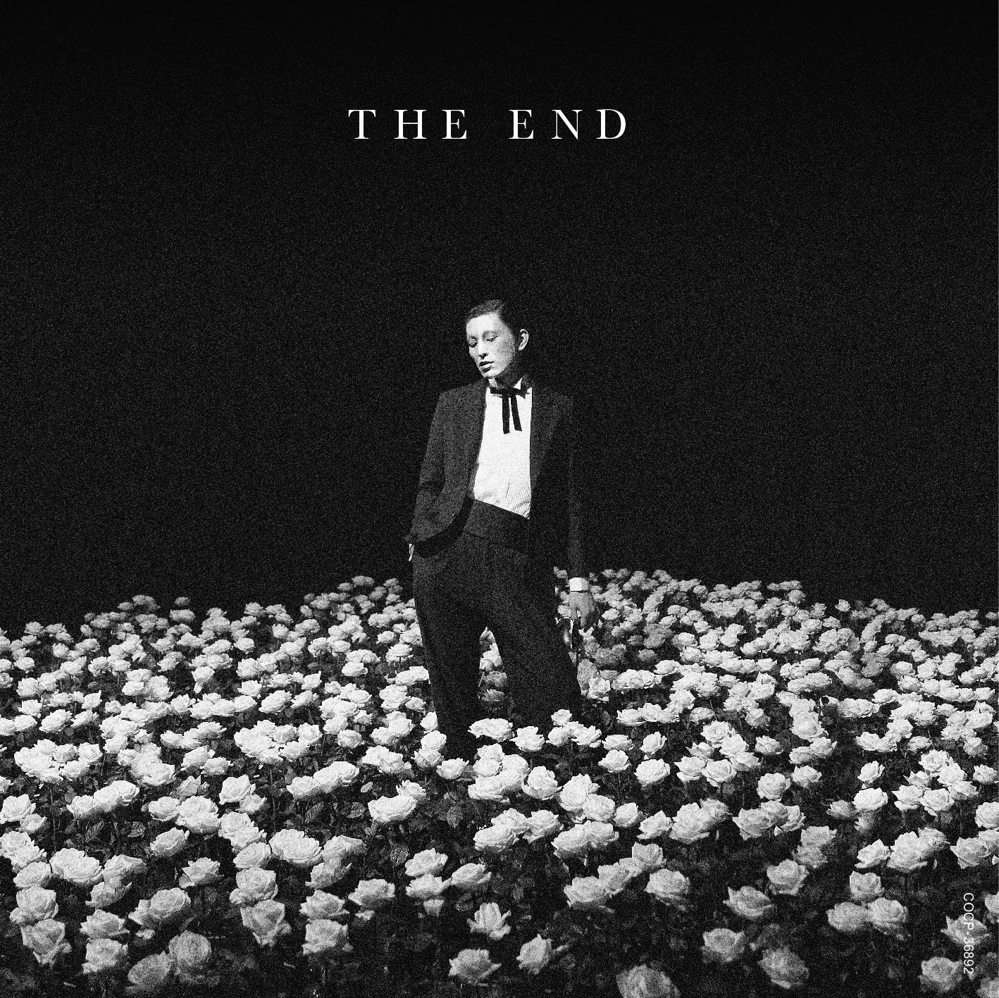 毛皮のマリーズ THE END [Normal Edition] Music