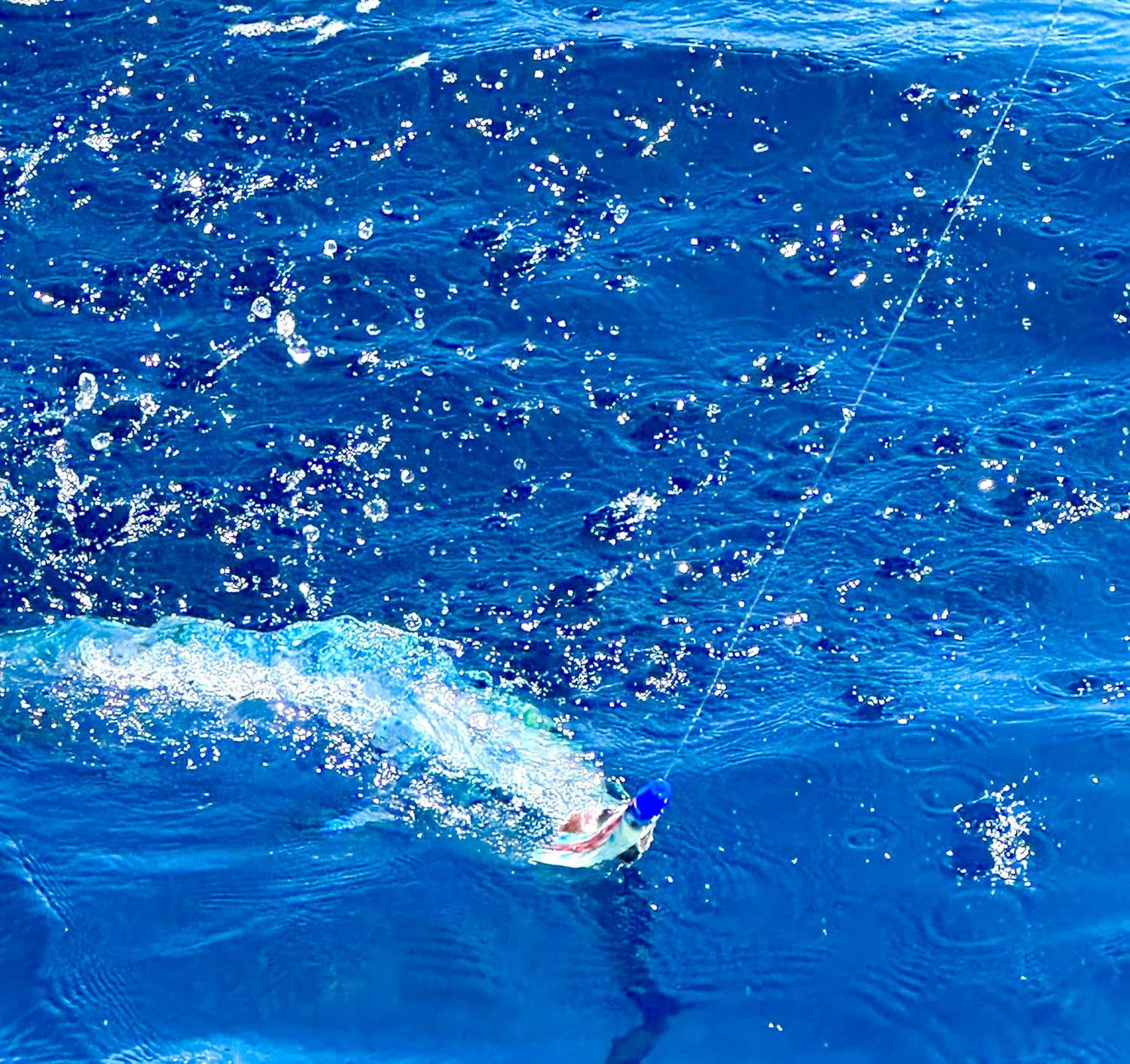 Lobo Lures #218 Micro-Typhoon Mahi Slammer Squidnation Big Game Fishing Daisy Chain Trolling Lure