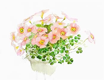 水彩「WORKS 8-3」F 8号 Amazon.co.jp: ミューズ(Muse) 水彩紙