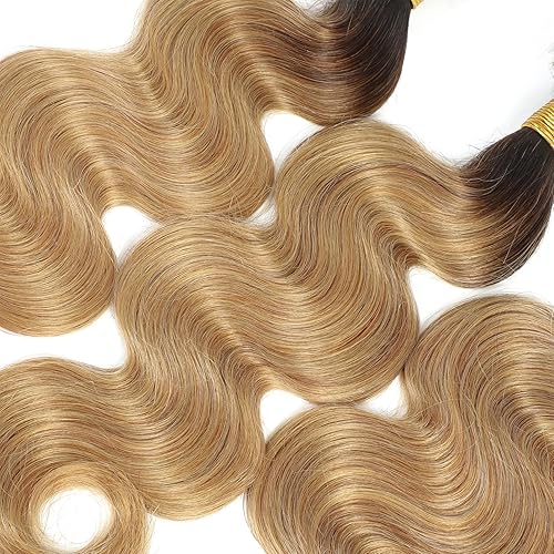 Miniatura 5 de Fheaicr - Paquetes de extensiones de cabello humano de grado 12A, en tono ombré 1B27 de negro natural a rubio miel, 24 pulgadas, con trama de