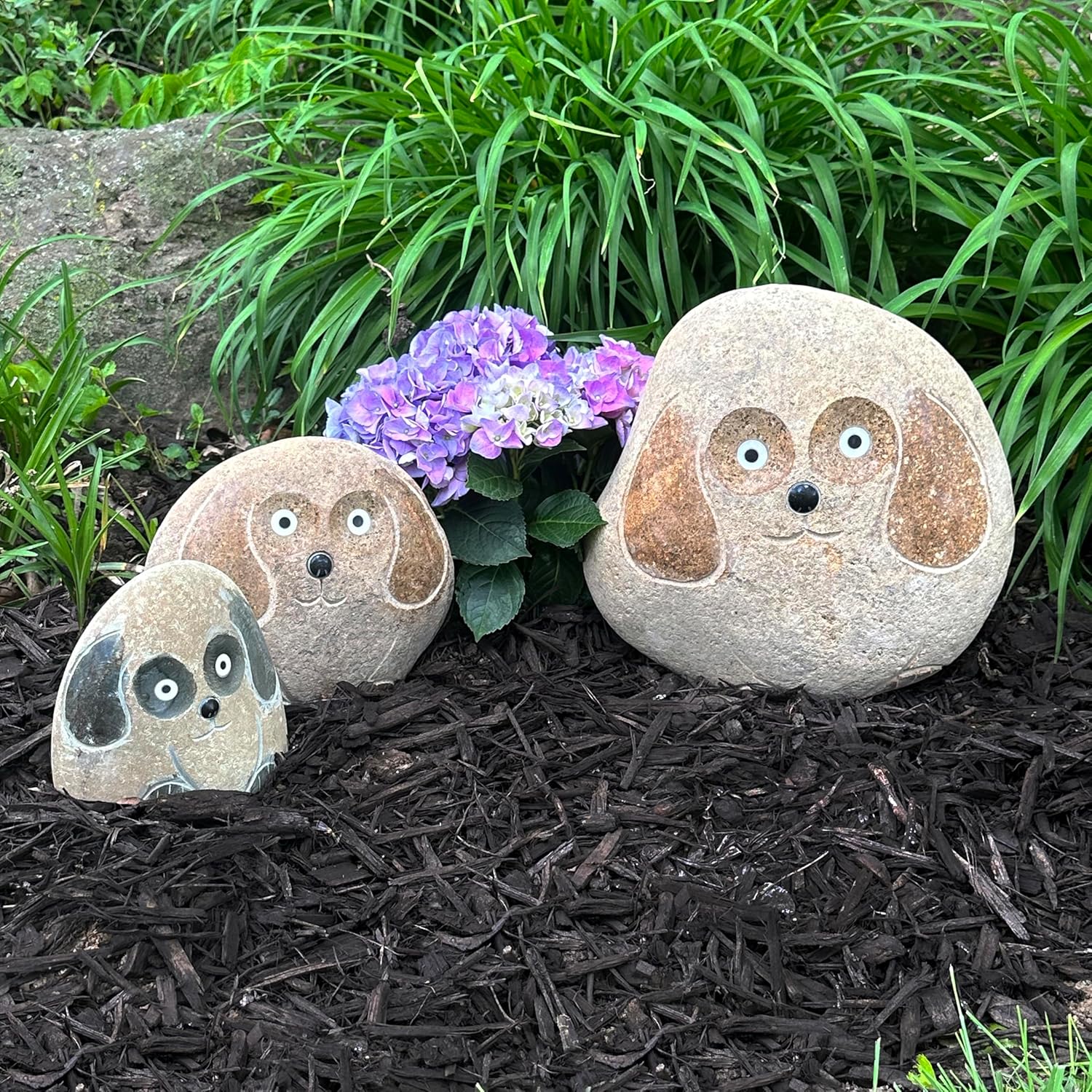 Large 3 Dog Family Pack