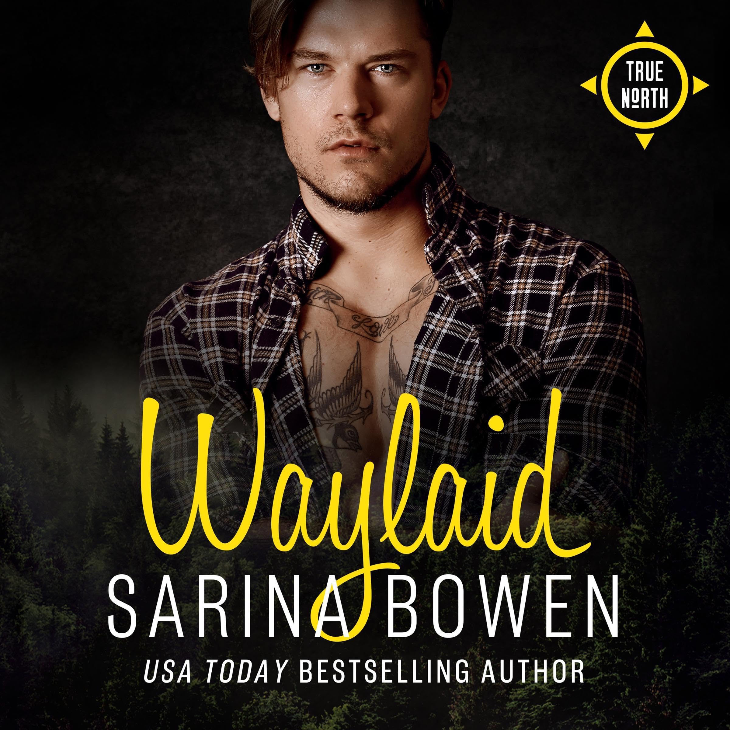 Cover art for Waylaid