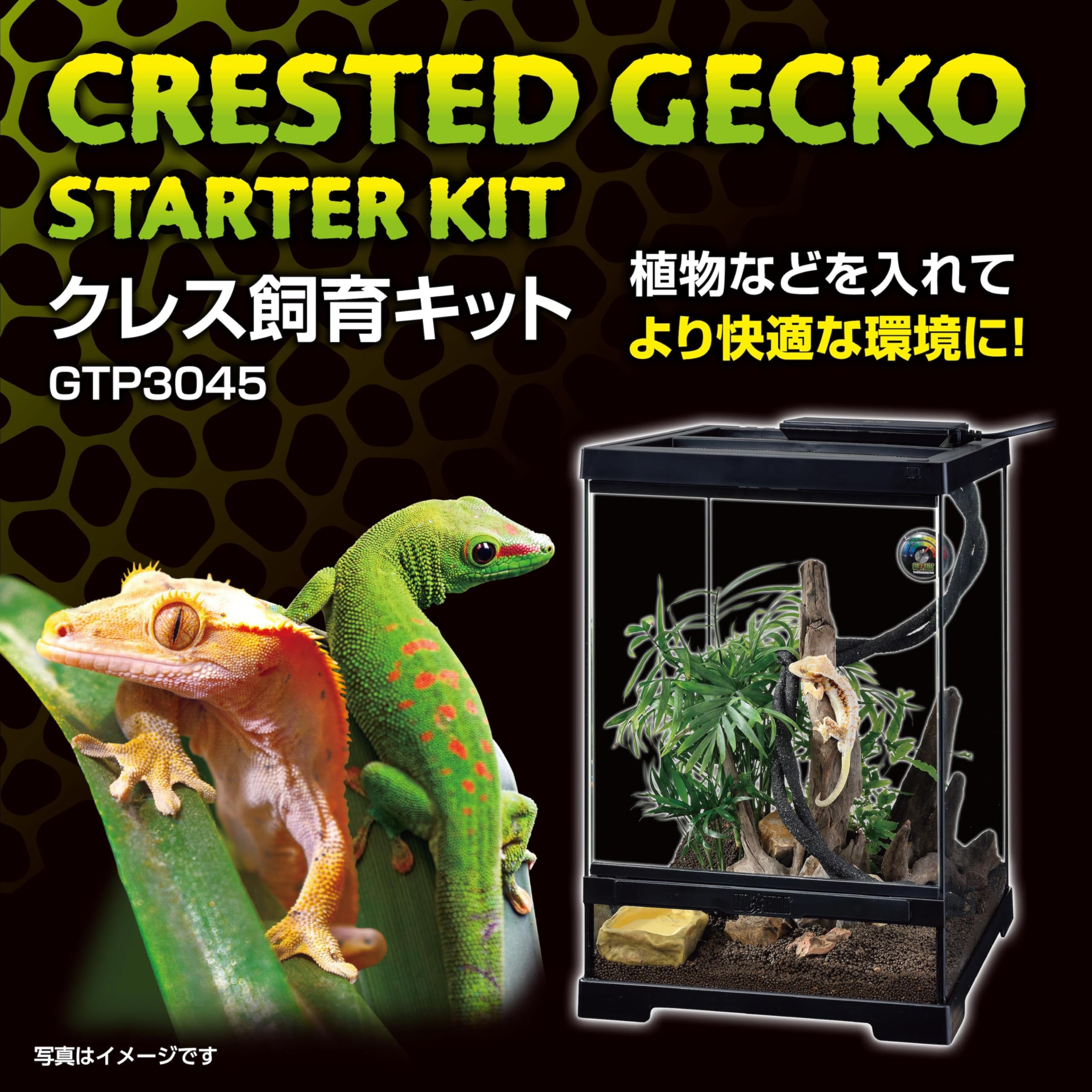 Amazon | エキゾテラ EXOTERRA クレス飼育キットGTP3045【飼育ガイド