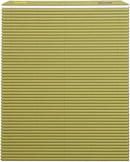 Hasegawa 10 x 9.5 Inch Plastic Green Makisu/Sushi Rolling Mat