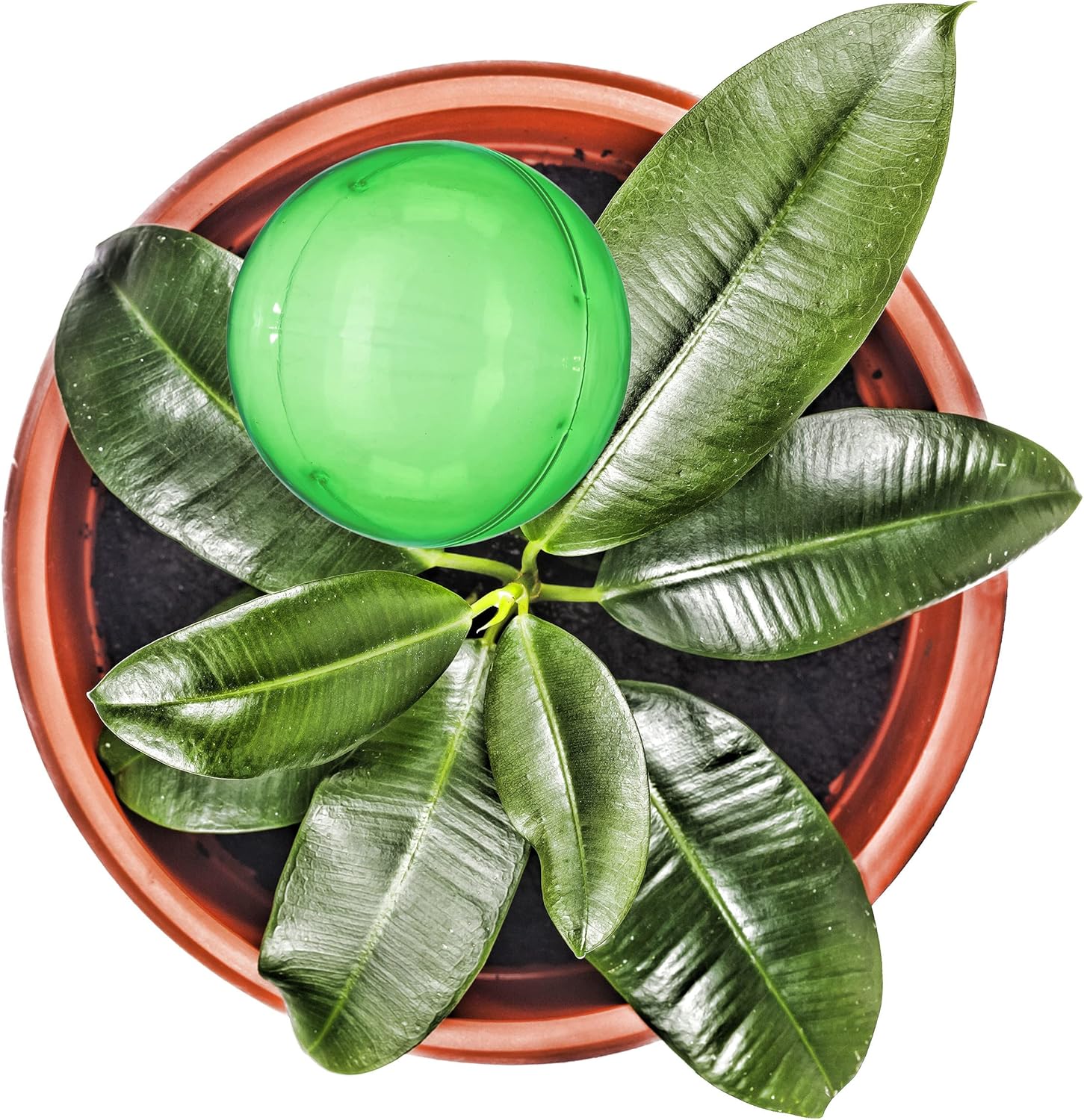 Watering Gloves, Set of 4, Regulated Irrigation, 2 Weeks, Pot Plants, Plastic Sphere, Bulb, PVC Green, 8 cm Diameter