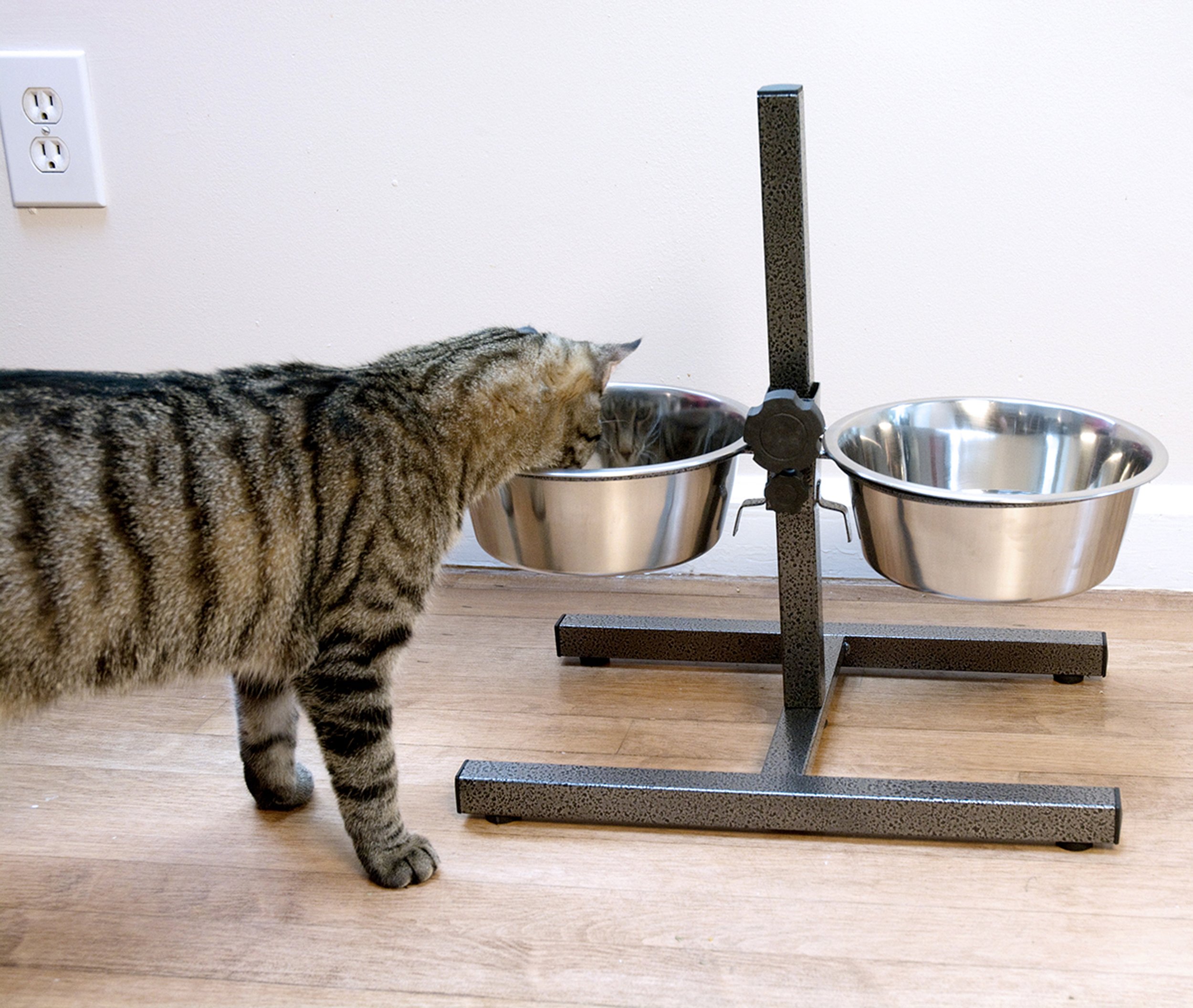 Iconic Pet Comedor Doble Ajustable de Acero Inoxidable para Mascotas de 12 Tazas, 96 onzas
