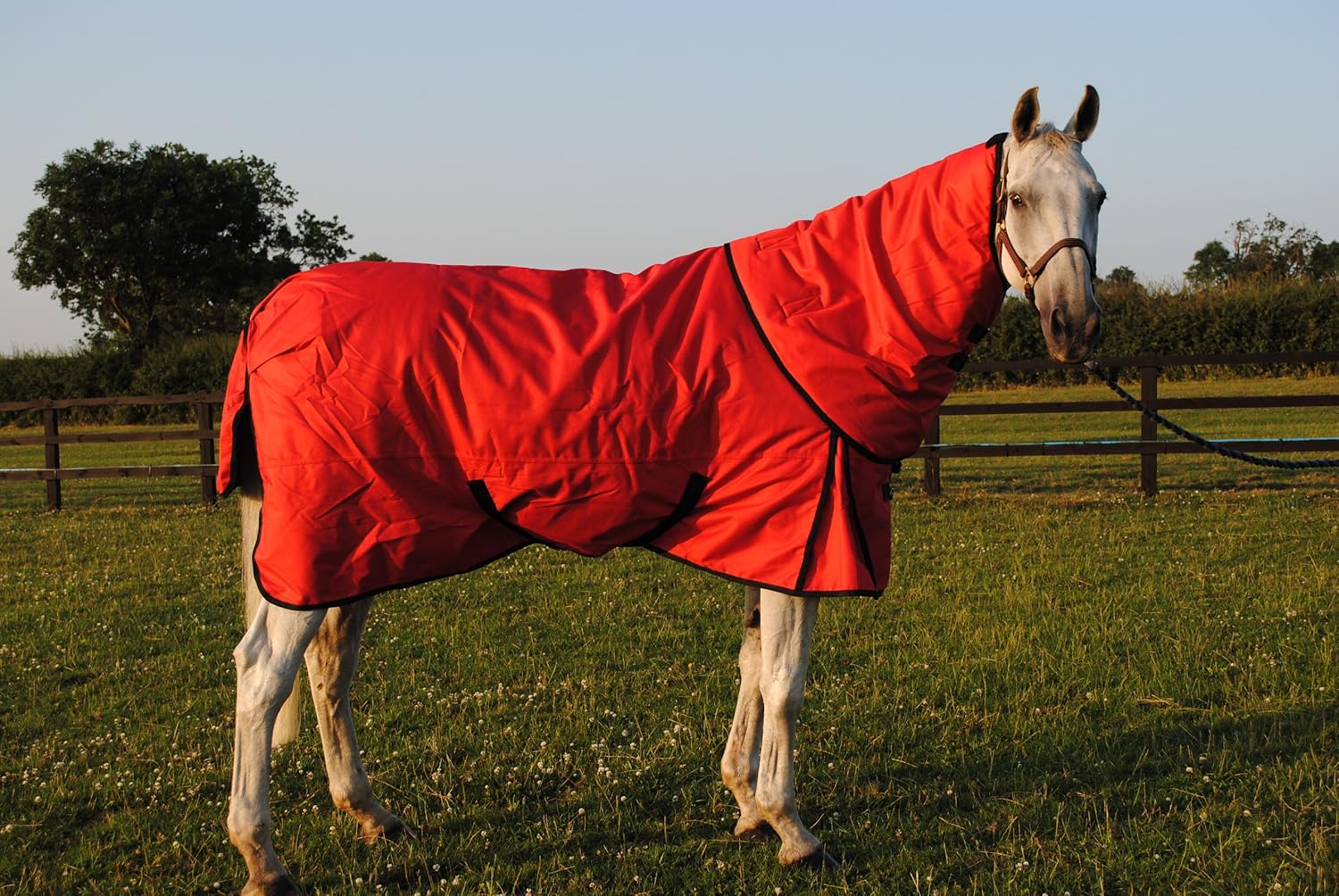 Horse turnout rug red 6ft Everything Else