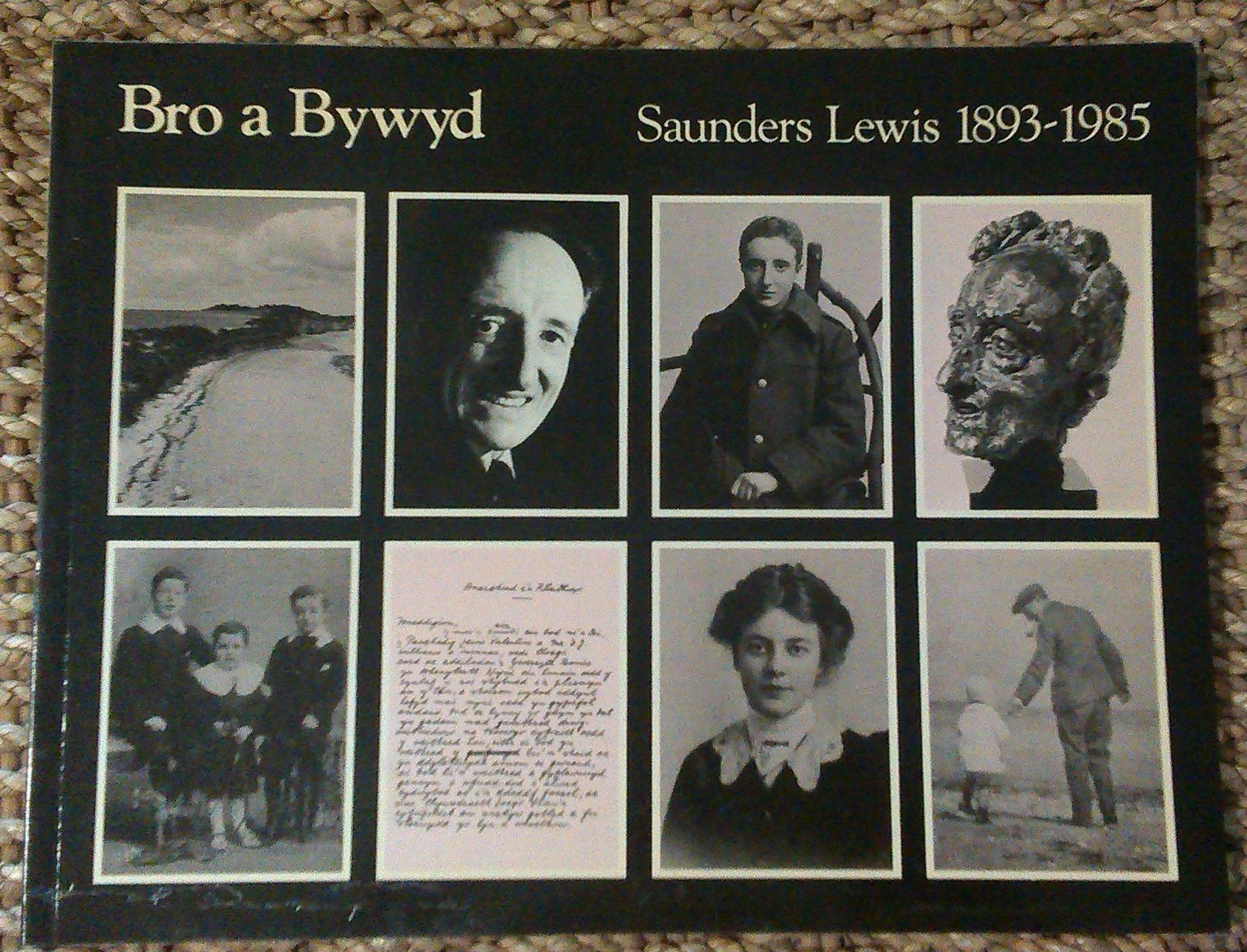 Bro a Bywyd:9. Saunders Lewis 1893-1985 Paperback – 1 Jan. 1987