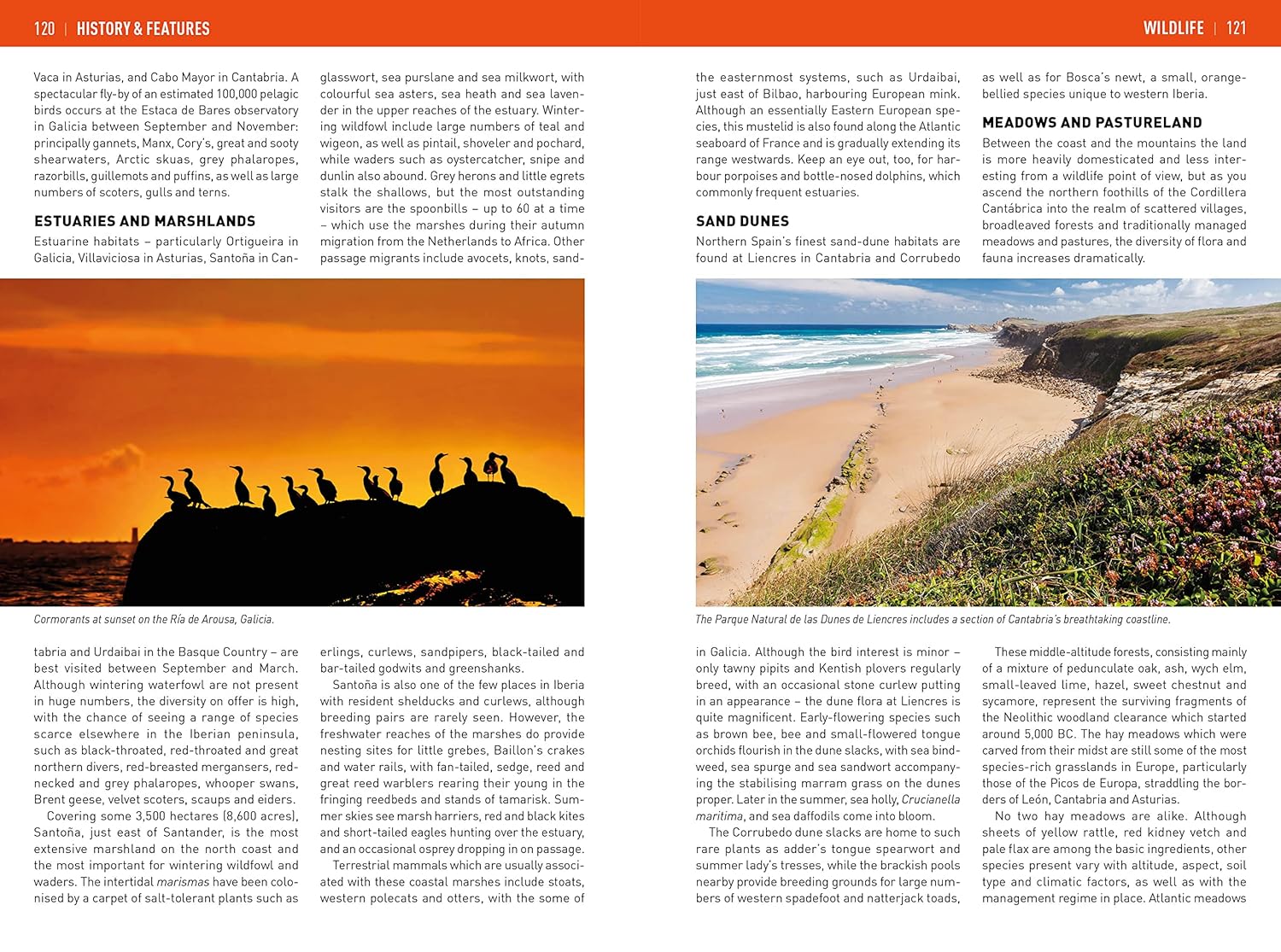 Insight Guides Northern Spain: Travel Guide with eBook - Image 7