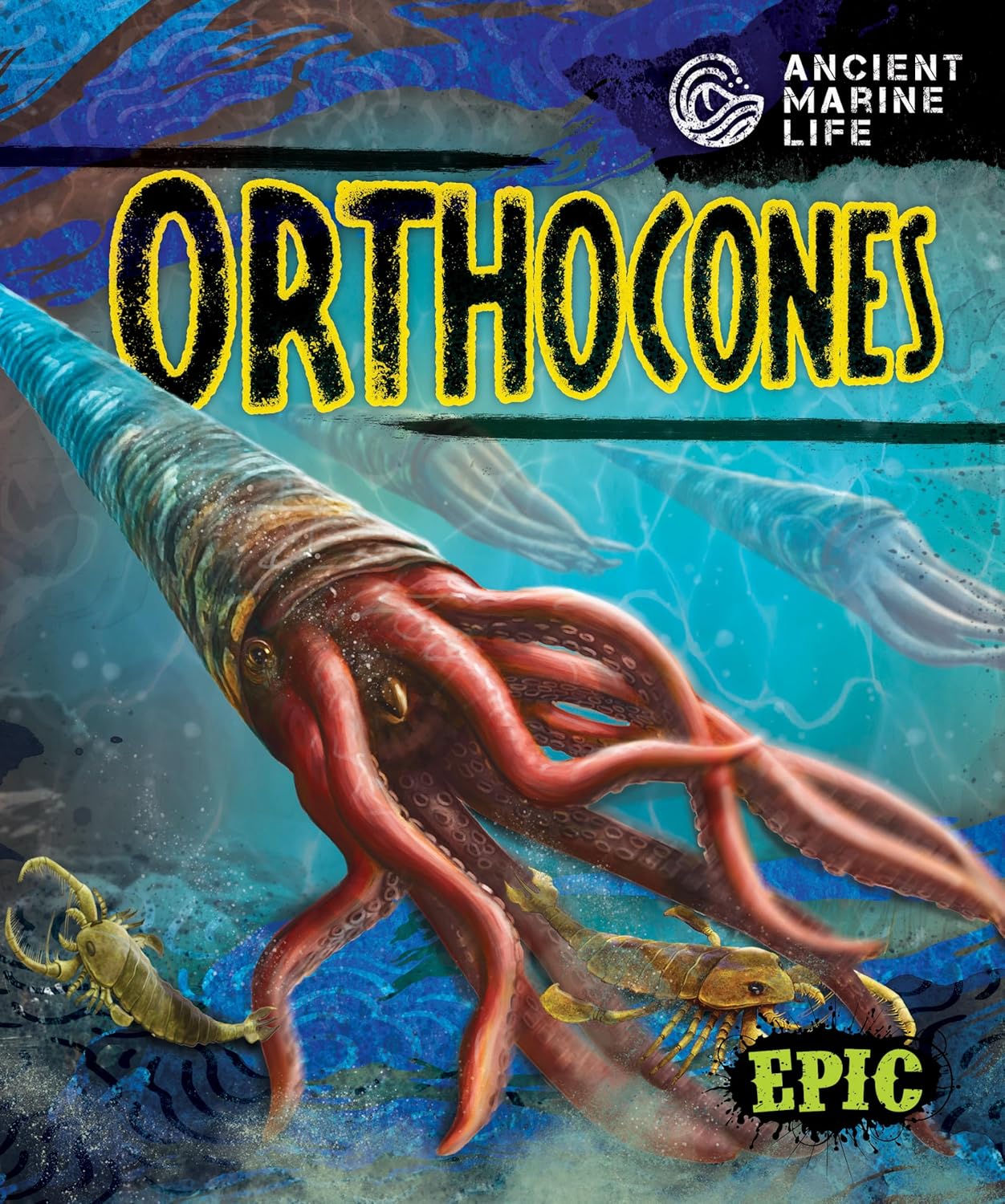 Orthocones (Ancient Marine Life)      Library Binding – January 1, 2024