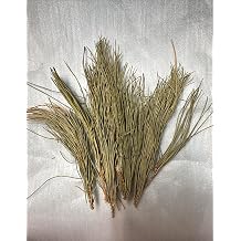 Dried Pine Nut Needle Herbal Tea 2oz - Imported from Lebanon