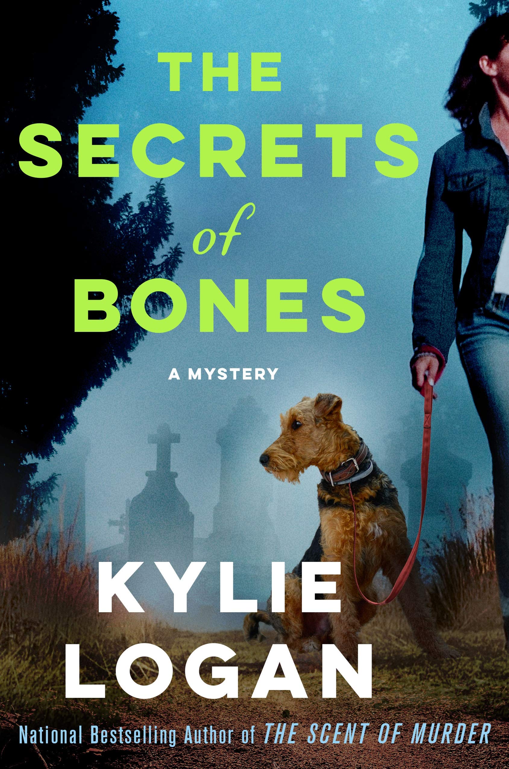 The Secrets of Bones: A Mystery