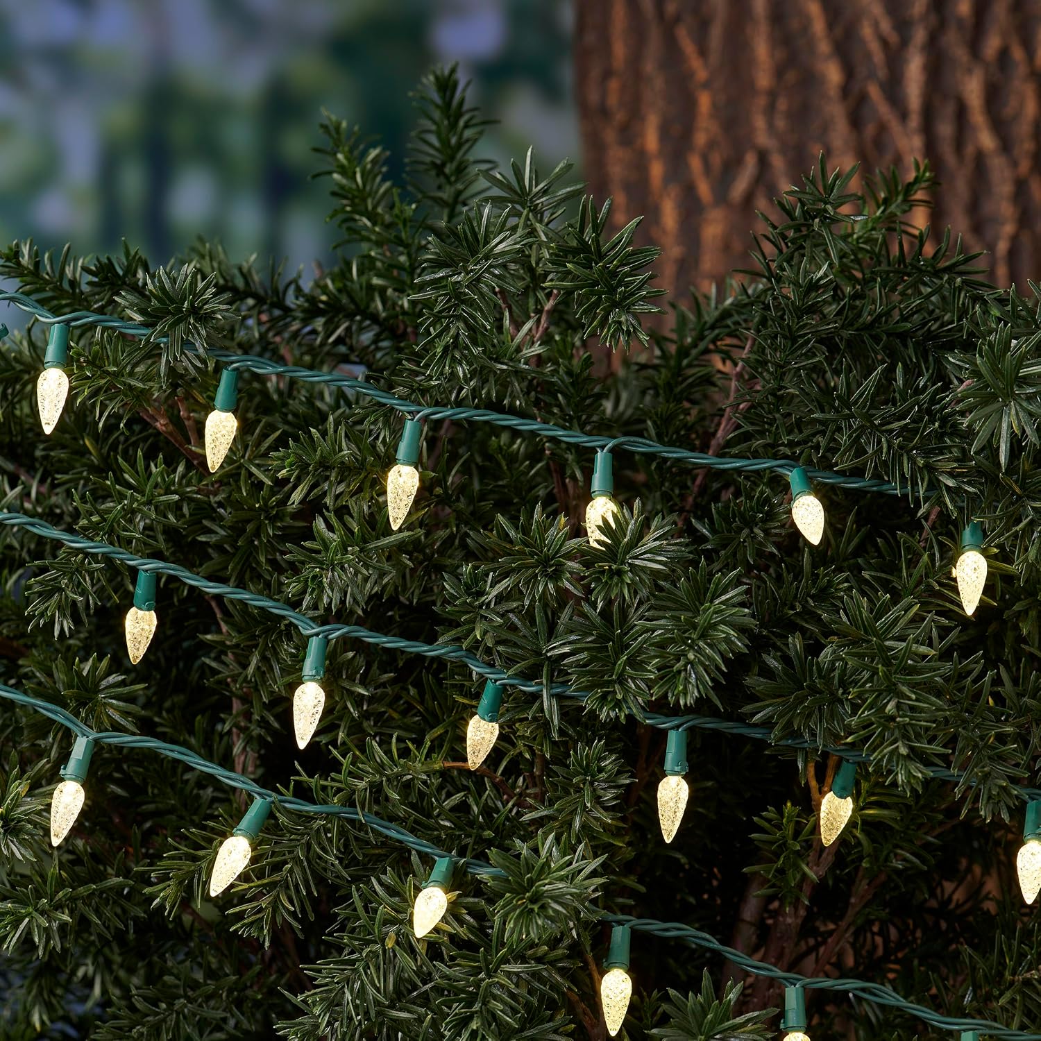 SYLVANIA LED Christmas Lights, Warm White