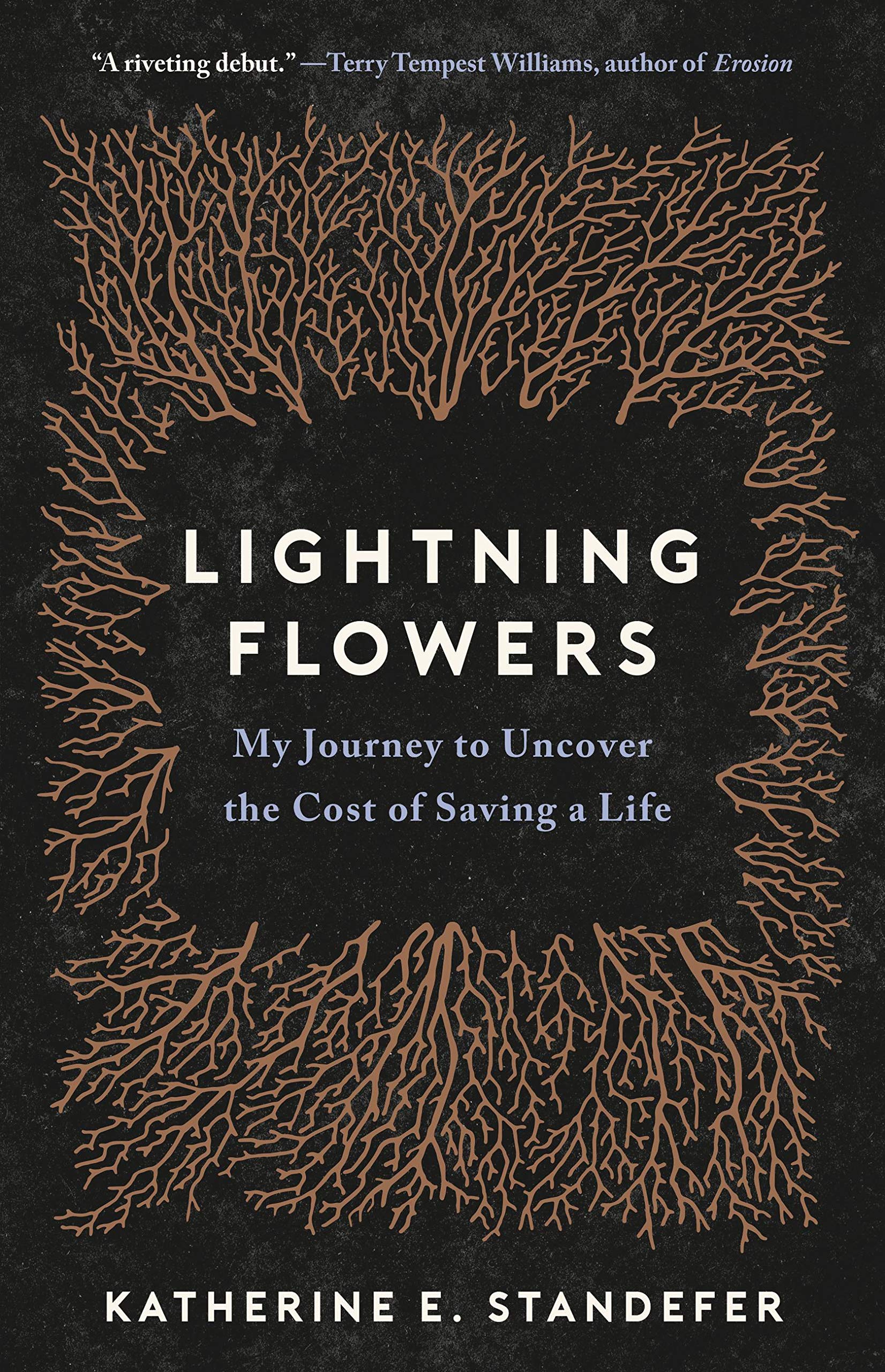 Buy Lightning Flowers — BookShops.in