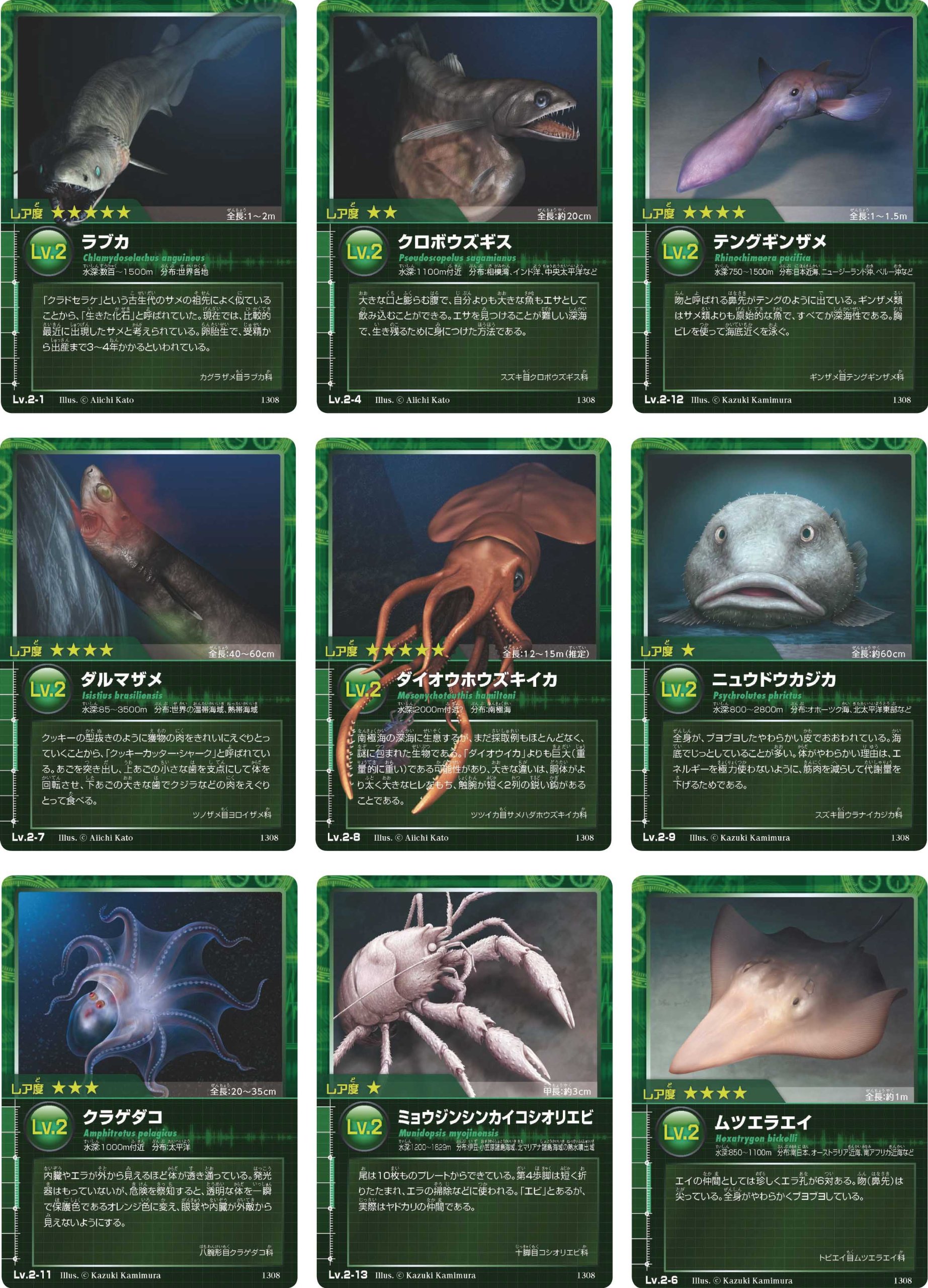 Amazon.co.jp: 深海生物カードゲーム ミスティクア : 中江雅典: おもちゃ