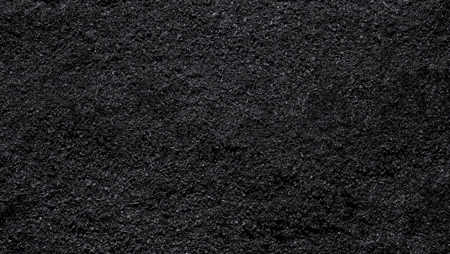 Wakefield BioChar – Premium Soil Conditioner (Activated Charcoal for Plants, Horticultural Charcoal) – 100% Organic Bio Char for Raised Bed and Vegetable Gardens, Potting Mix and Lawns - 1 Pound : Patio, Lawn & Garden