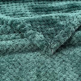 Fuzzy Blanket or Fluffy Blanket for Baby, Soft Warm Cozy Coral Fleece Toddler, Infant or Newborn Receiving Blanket for Crib, Stroller, Travel, Decorative (28Wx40L, XS-Black Green)