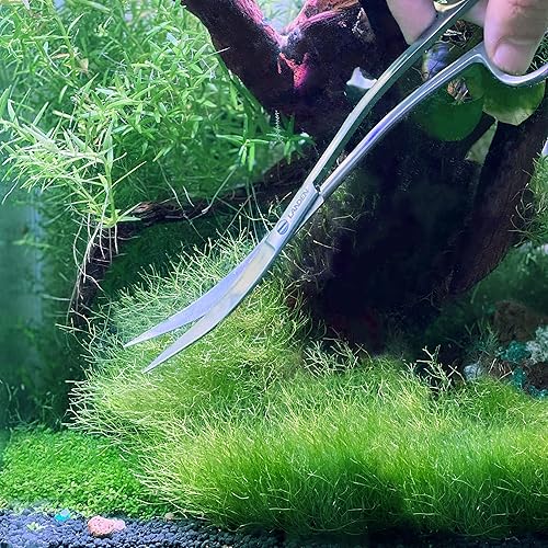 Miniatura 7 de LANDEN Tijeras onduladas 8.27 pulgadas (8.268 in) para acuario pecera paisajismo poda y herramienta de recorte de plantas