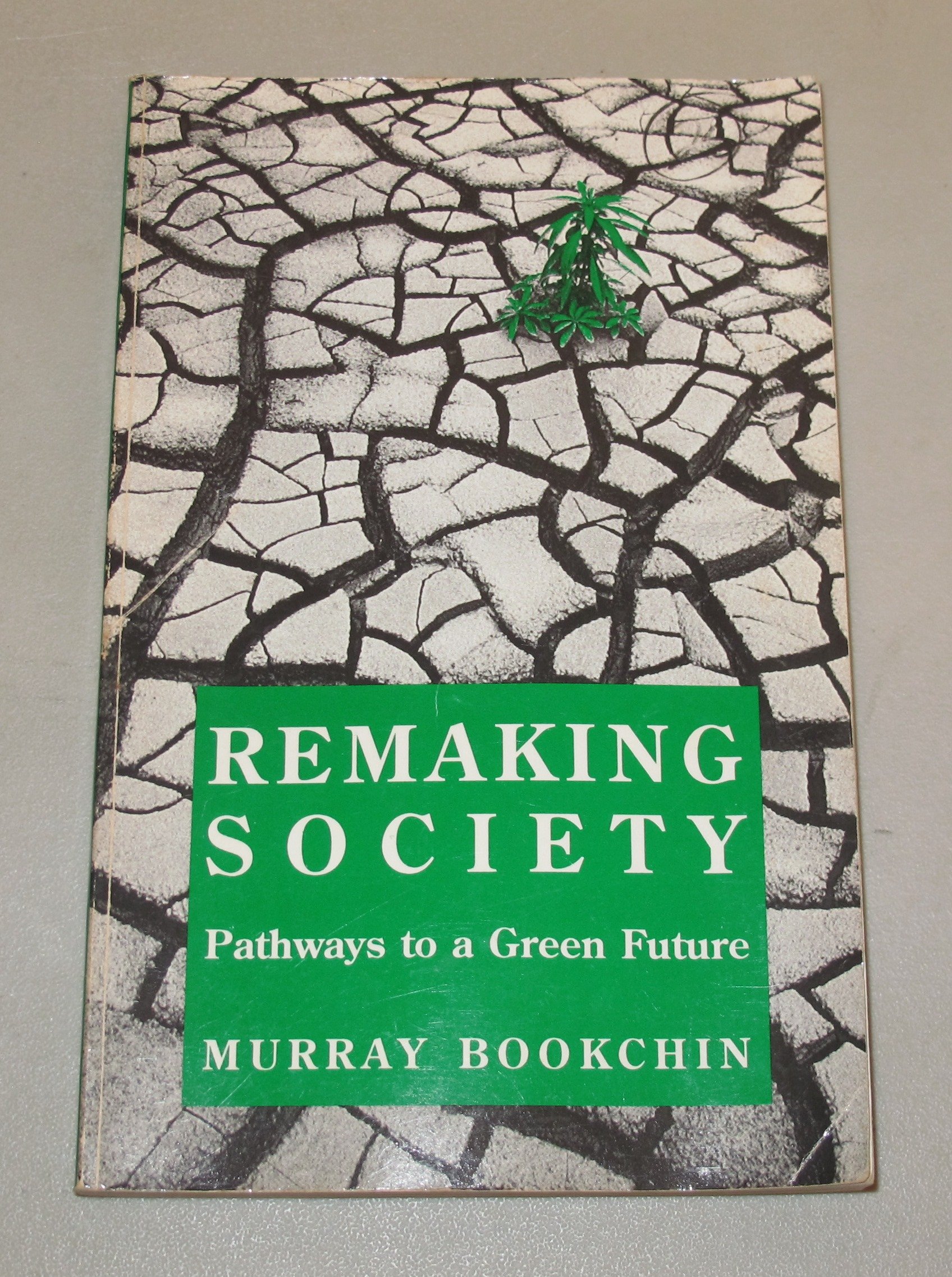 Buy Remaking Society: Pathways to a Green Future — BookShops.in