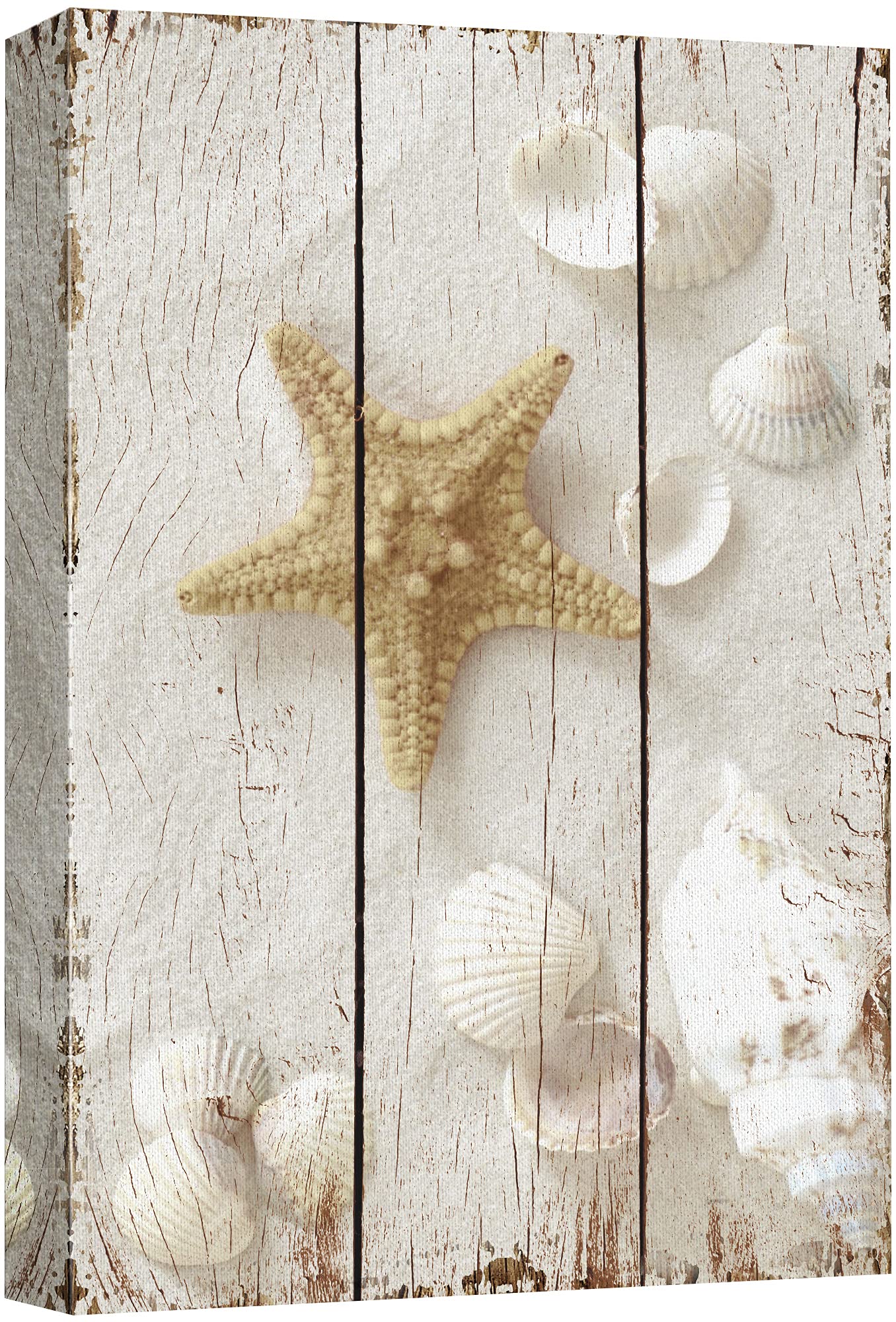 wall26 Canvas Print Wall Art Brown Starfish & White Seashells on Wood Panels Nature Wilderness Digit
