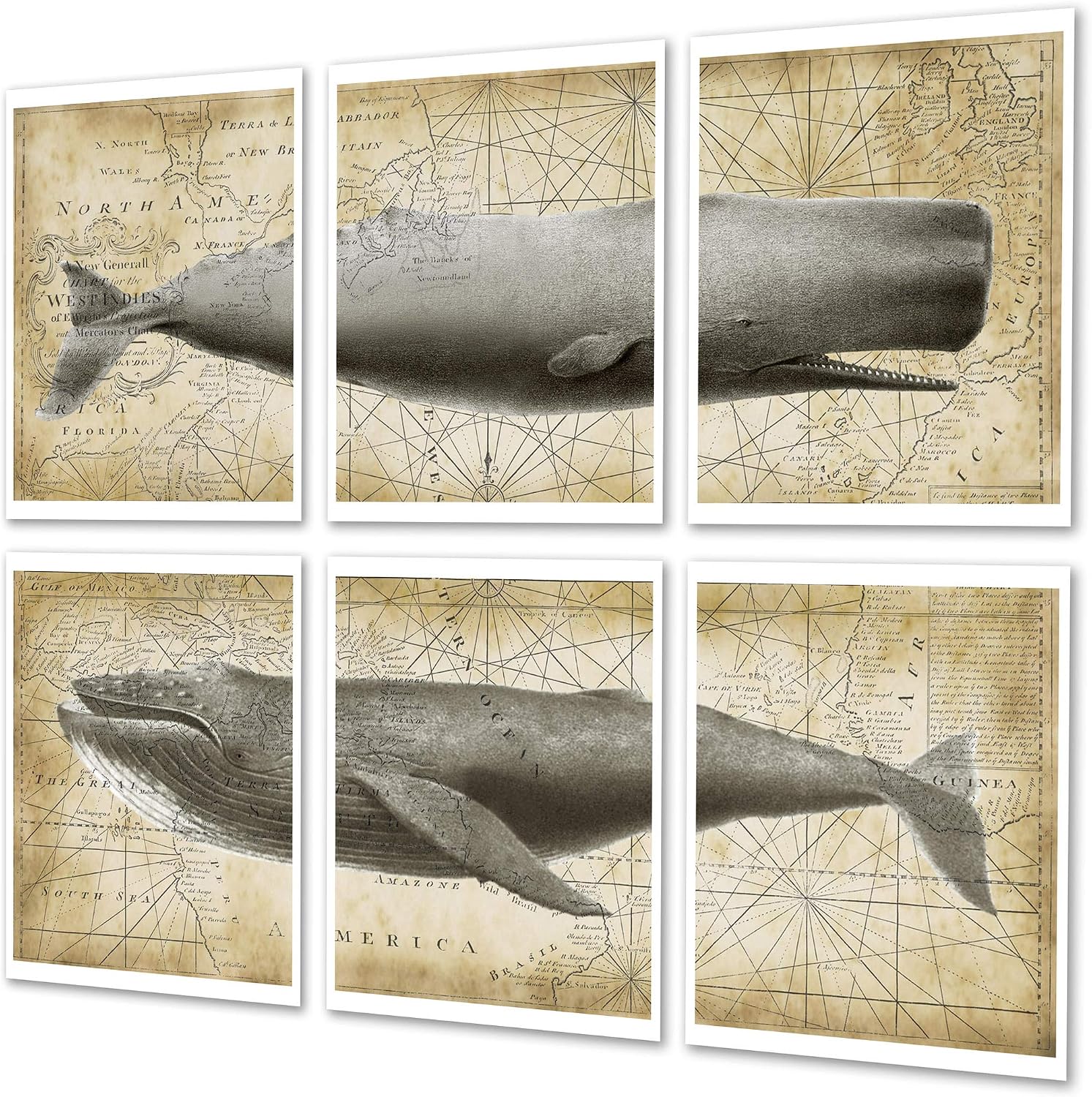 Whale Wall Decor 6 Piece Unframed Art Prints With Vintage Nautical Map Background