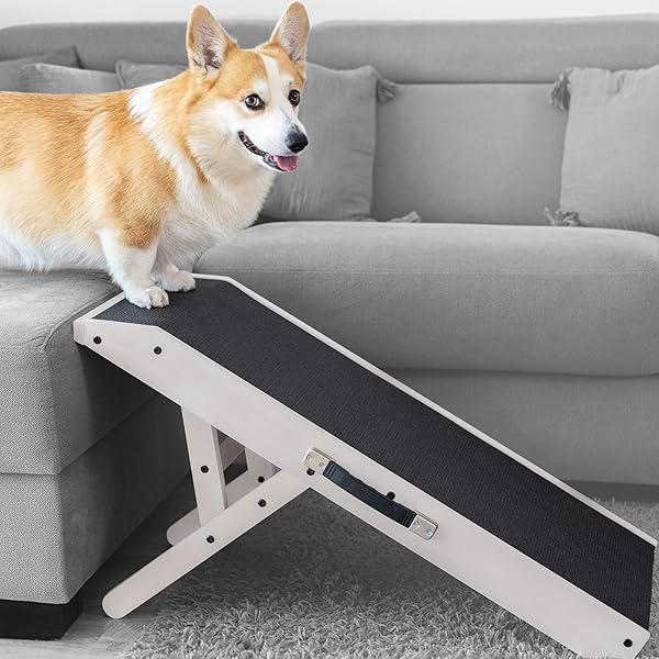 PRIORPET Rampa per Cani Regolabile in Legno di Betulla