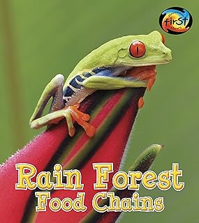 Rain Forest Food Chains (Heinemann First Library: Food Chains and Webs)