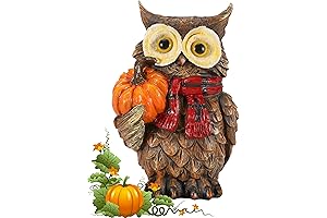 Owl Decorations for Home: Enchant Your Space with Autumnal Charm
