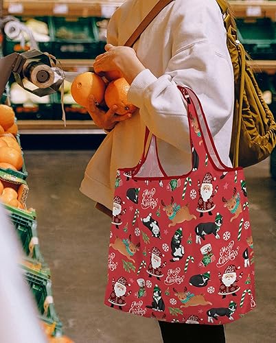 Vista 34 de WIRESTER Bolsa de comestibles reutilizable para mujer, bolsa de compras plegable, bonita bolsa de hombro, bolsa de playa