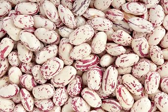 Hunza Organic Cranberry Beans (2 lbs)