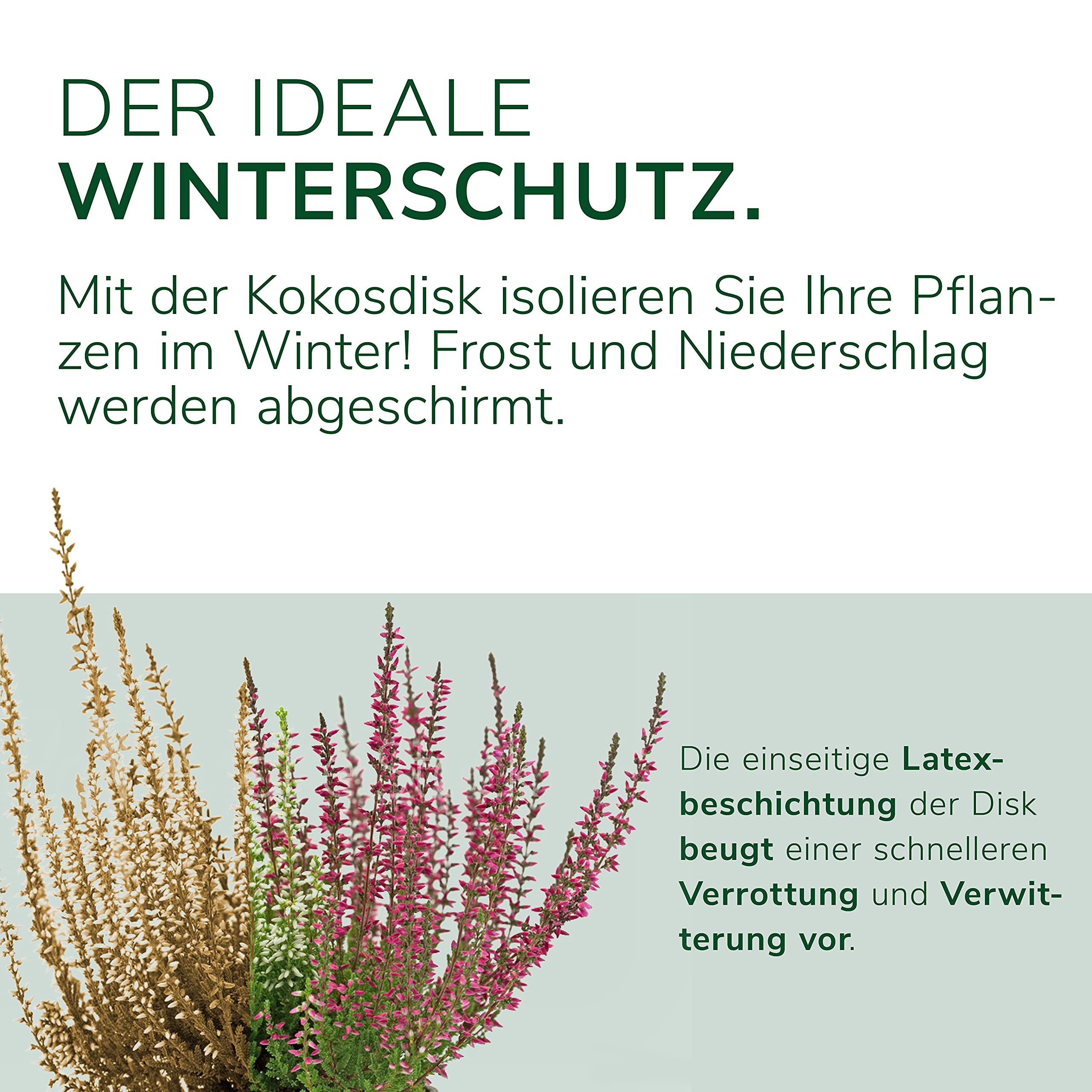 Natursache Kokosdisk, 5 Stück, Ø 80cm, Winterschutz für Pflanzen, mit Latex Beschichtung