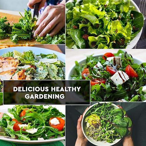 Miniatura 5 de Paquete de 12 semillas de lechuga y verduras, reliquia y sin OMG, cultivado en Estados Unidos, jardín interior o exterior, iceberg, rúcula, col