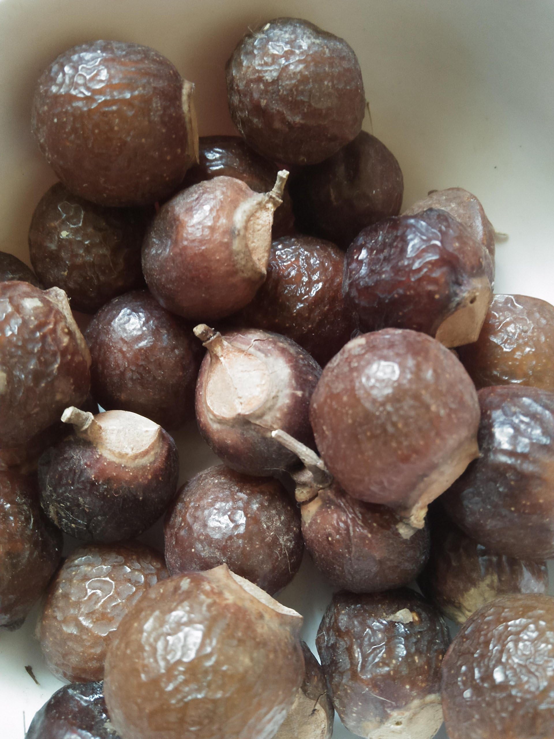 Marini Reetha Fresh and Organic SoapNuts, 100 g