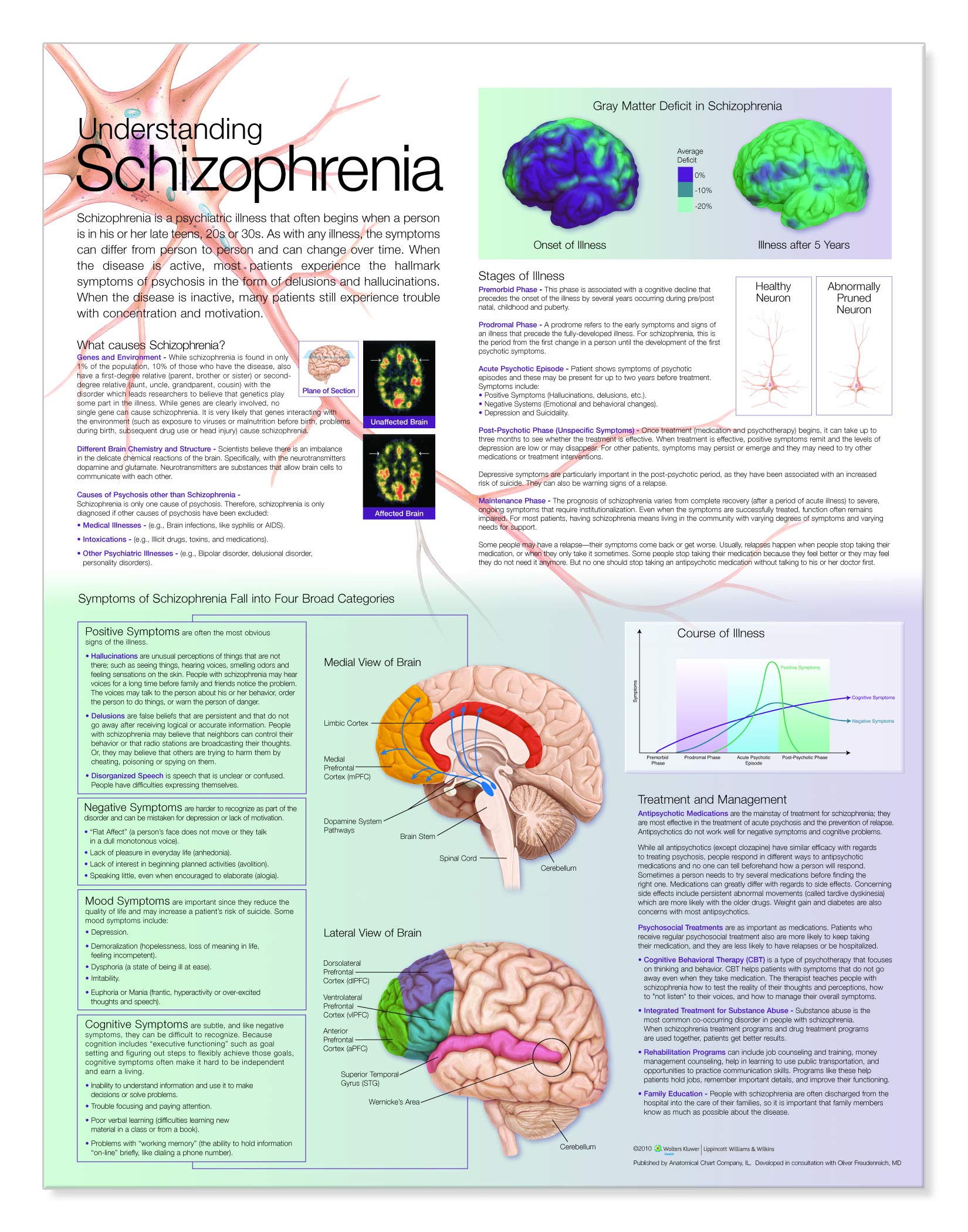 Understanding Schizophrenia Anatomical Chart