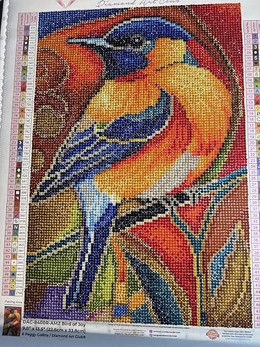 DIAMOND ART CLUB Bird of Joy Diamond Painting Kit, Fun DIY Crafts