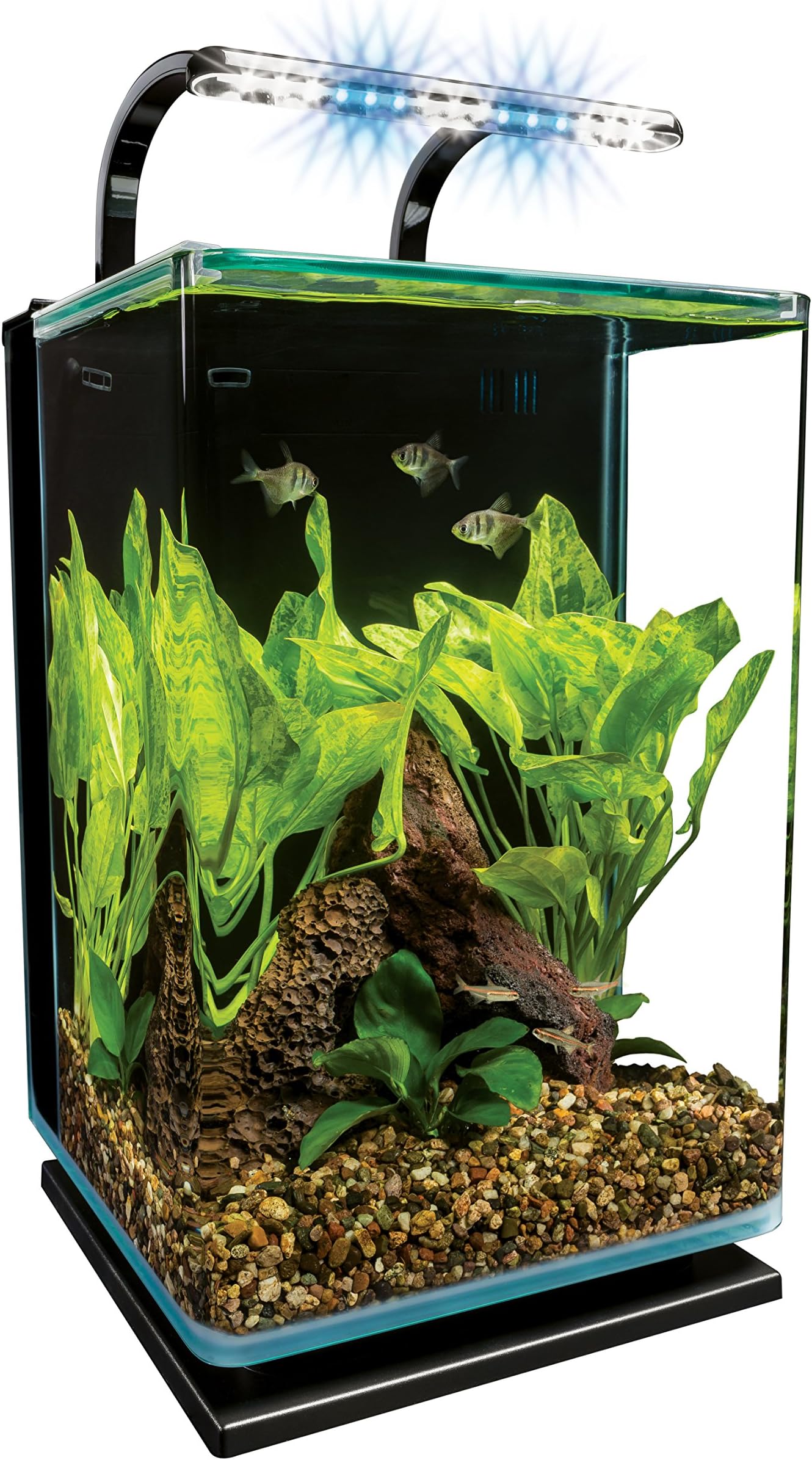 Marineland Contour Glass Aquarium Kit with Rail Light, 5-Gallon by MarineLand