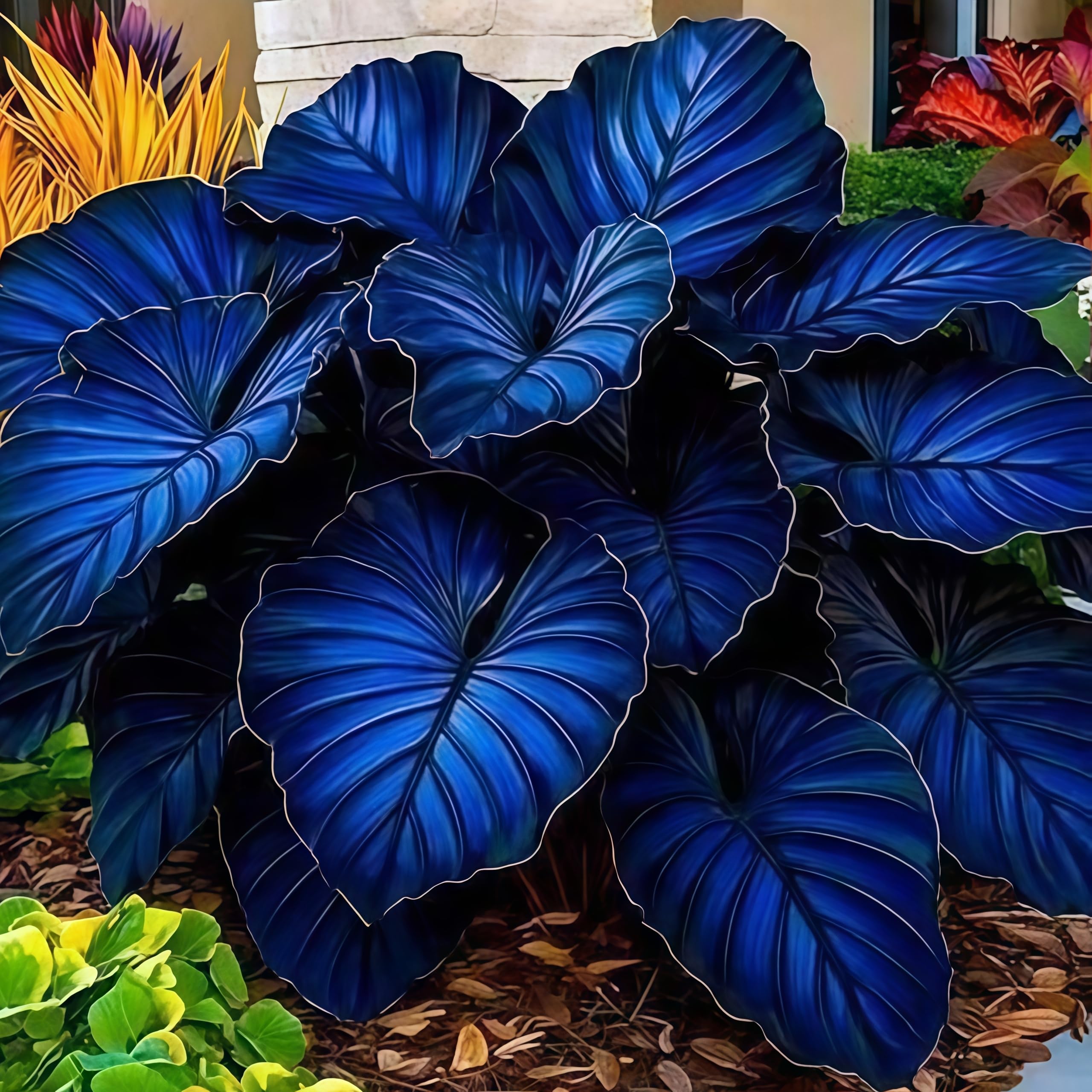 Hostas for Planting,Excellent Display,Organic and Natural, Mix Greening Flower-5bulbs-H