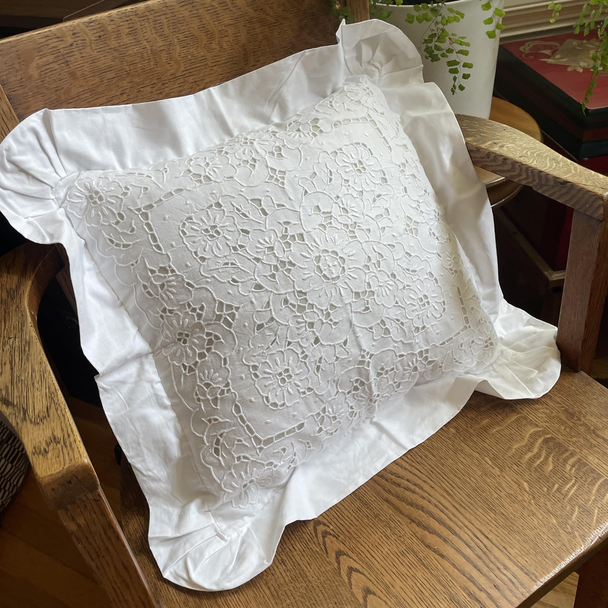 Embroidered and LACE 2-PC Pillow Decorative Pillow Set, 20 inches, Constance White 20" 2 Count