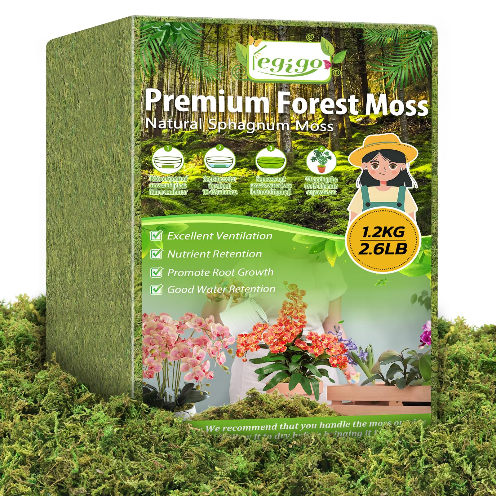 Legigo 2.6 Lbs Dried Decorative Moss